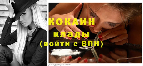 мяу мяу мука Баксан