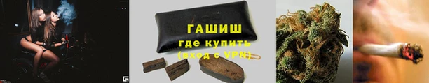 мяу мяу мука Баксан