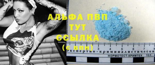 мяу мяу мука Баксан